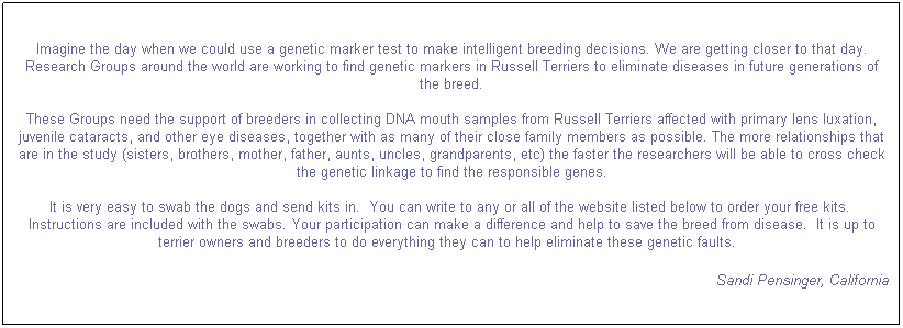 Text Box: Imagine the day when we could use a genetic marker test to make intelligent breeding decisions. We are getting closer to that day. Research Groups around the world are working to find genetic markers in Russell Terriers to eliminate diseases in future generations of the breed. 

These Groups need the support of breeders in collecting DNA mouth samples from Russell Terriers affected with primary lens luxation, juvenile cataracts, and other eye diseases, together with as many of their close family members as possible.&nbsp;The more relationships that are in the study (sisters, brothers, mother, father, aunts, uncles, grandparents, etc) the faster the researchers will be able to cross check the genetic linkage to find the responsible genes.

It is very easy to swab the dogs and send kits in.&nbsp; You can write to any or all of the website listed below&nbsp;to order your free kits.&nbsp; Instructions are included with the swabs. Your participation can make a difference and help to save the breed from disease.&nbsp; It is up to terrier owners and breeders to do everything they can to help eliminate these genetic faults.&nbsp;&nbsp; 
Sandi Pensinger, California
